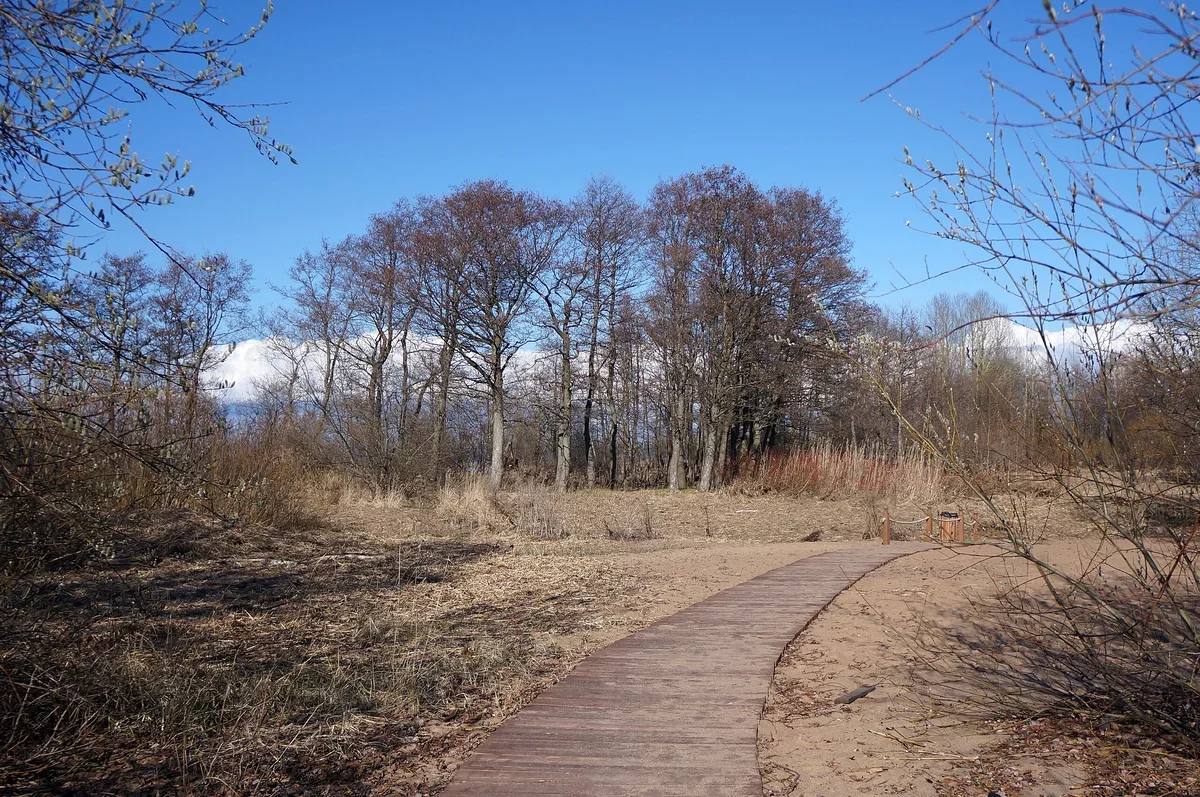 Осенние прогулки в пригородах Санкт-Петербурга. Самые живописные парки ...