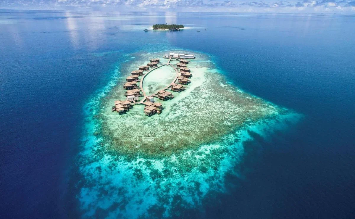 Мальдивы: ТОП-20 отелей с лучшими рифами