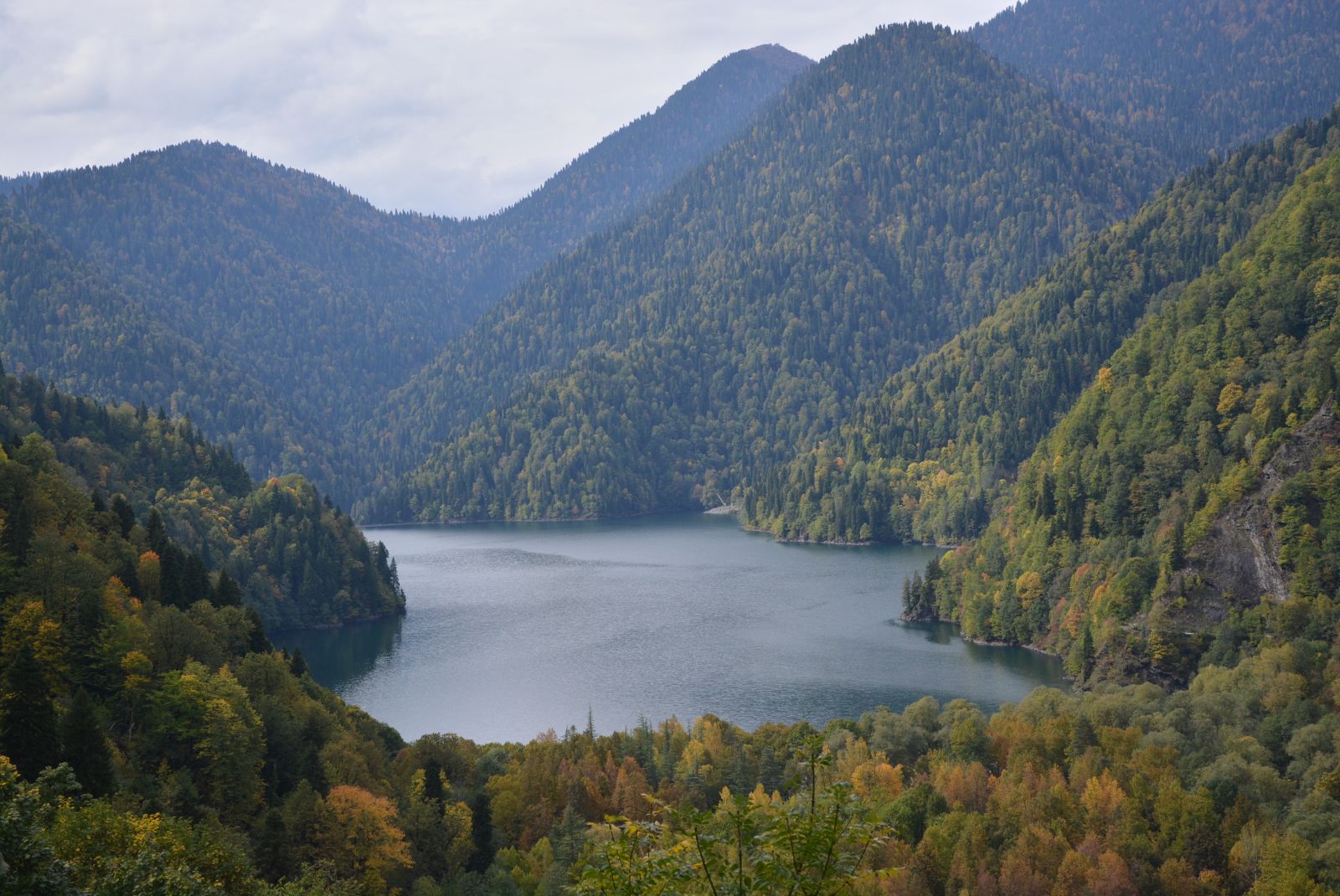 Озеро рица камера. Рицинский парк Абхазия. Абхазия Гагры озеро Рица. Озеро Рица Абхазия смотровая площадка. Абхазия достопримечательности озеро Рица.