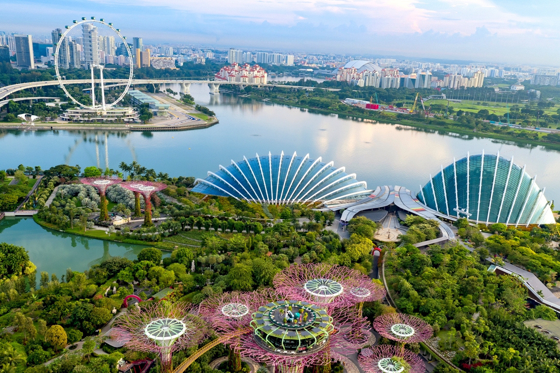 Зеленая сторона Сингапура. Что посмотреть в технологичной экостолице мира | Ассоциация Туроператоров