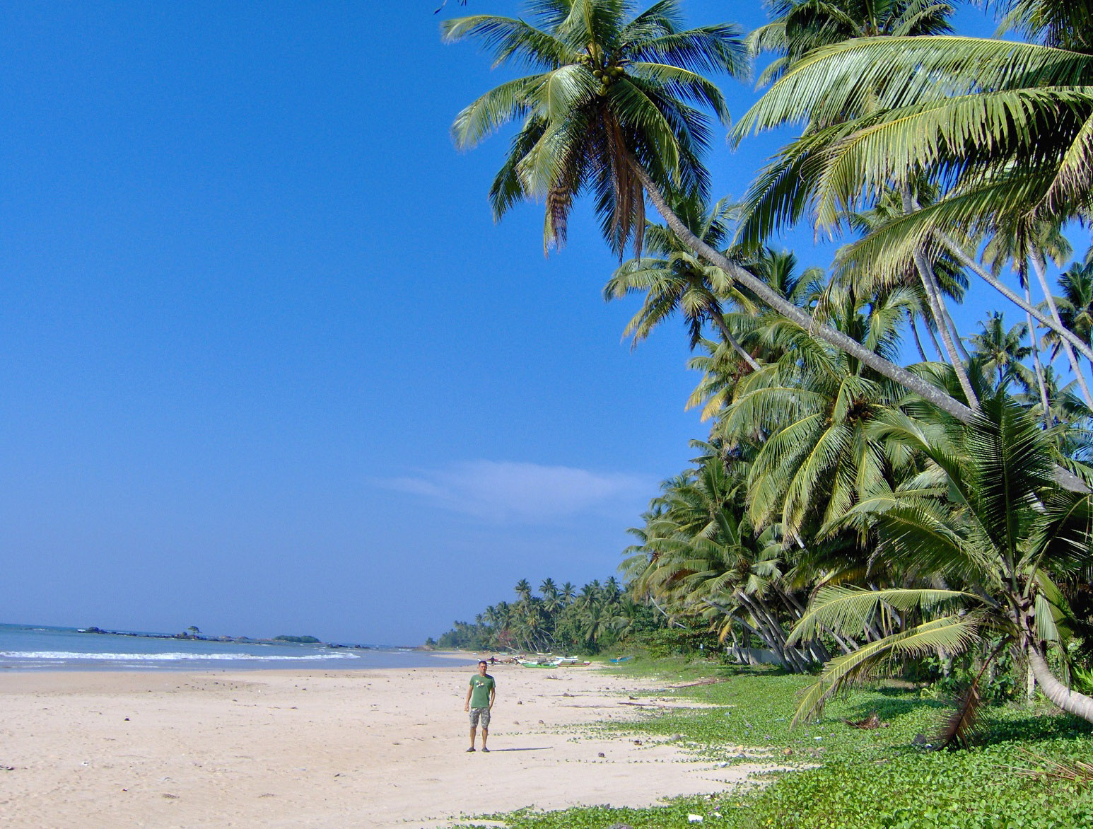Шри ланка туры март. Матара Шри Ланка. Коломбо Шри Ланка пляжи. Polhena Beach Шри Ланка. Пляж Матара Шри Ланка.